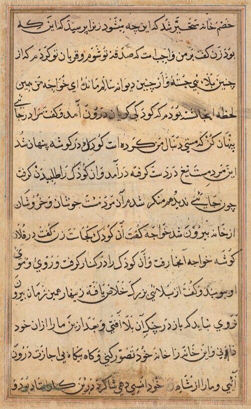 Page from Tales of a Parrot (Tuti-nama): text page, 1560, 