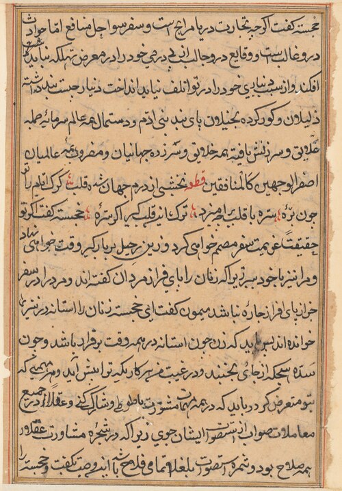 Page from Tales of a Parrot (Tuti-nama): text page, 1560, 