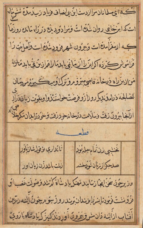 Page from Tales of a Parrot (Tuti-nama): text page, 1560, 