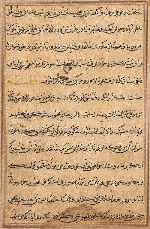 Page from Tales of a Parrot (Tuti-nama): text page, 1560, 