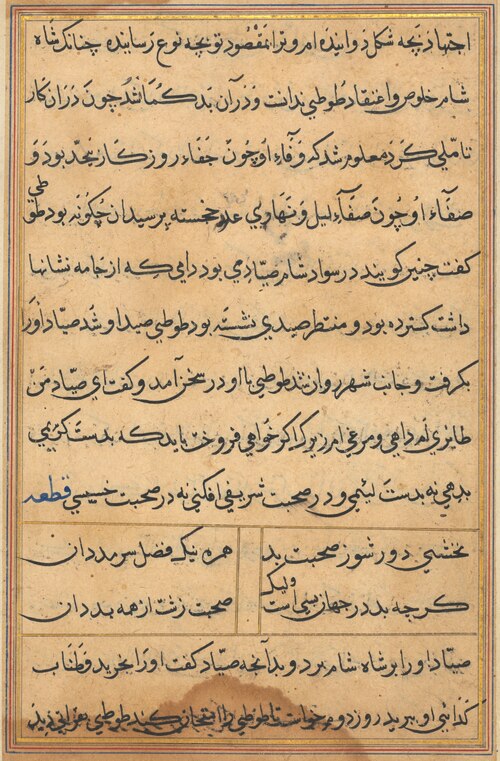 Page from Tales of a Parrot (Tuti-nama): text page, 1560, 