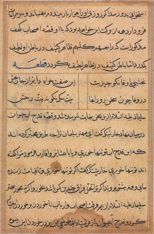 Page from Tales of a Parrot (Tuti-nama): text page, 1560, 