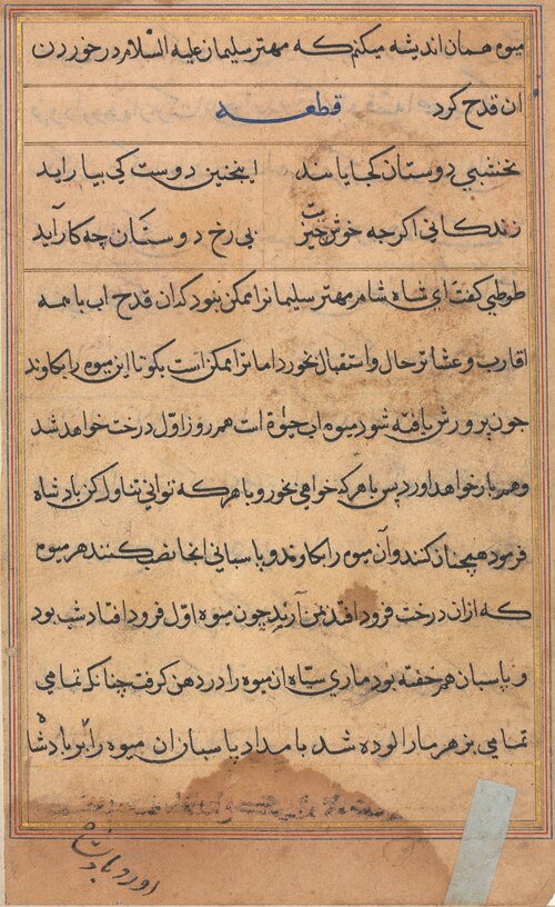 Page from Tales of a Parrot (Tuti-nama): text page, 1560, 