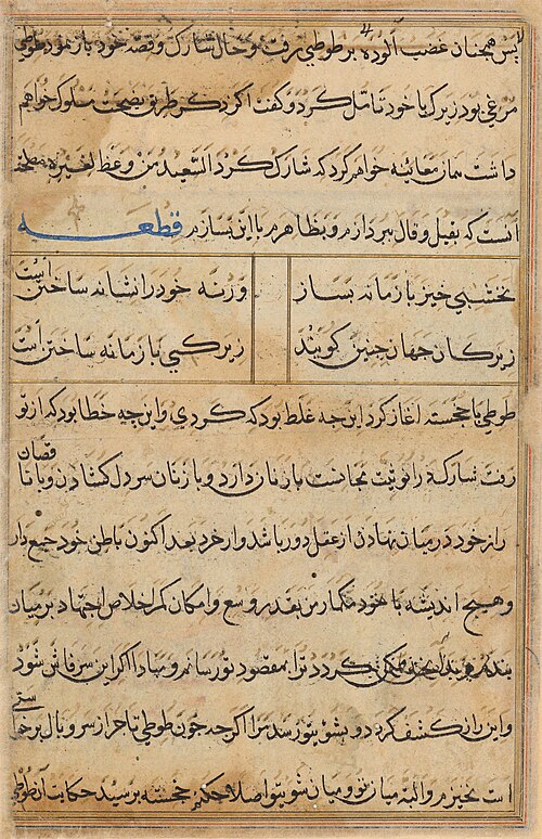 Page from Tales of a Parrot (Tuti-nama): text page, 1560, 