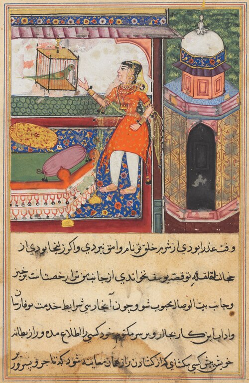 The Parrot Addresses Khujasta at the Beginning of the Tenth Night, from a Tuti-nama (Tales of a Parr, 1560, 