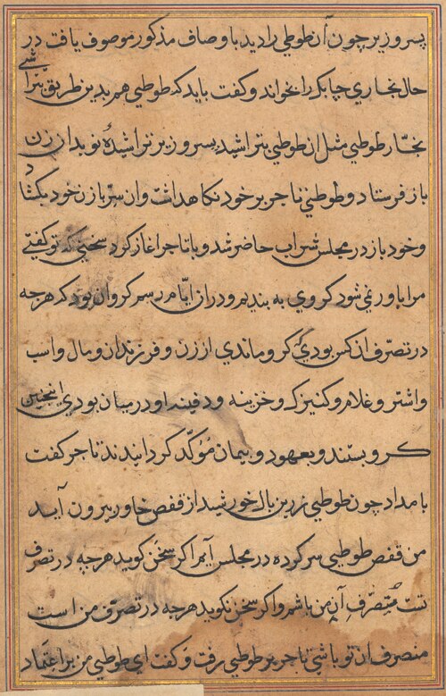 Page from Tales of a Parrot (Tuti-nama): text page, 1560, 