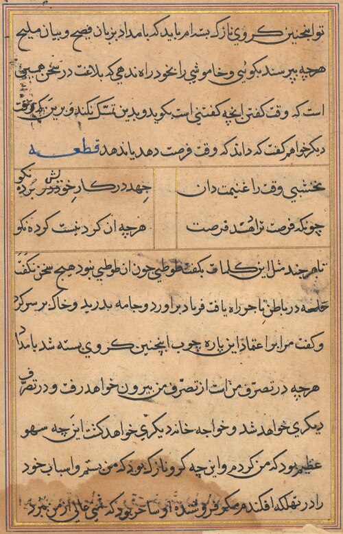 Page from Tales of a Parrot (Tuti-nama): text page, 1560, 