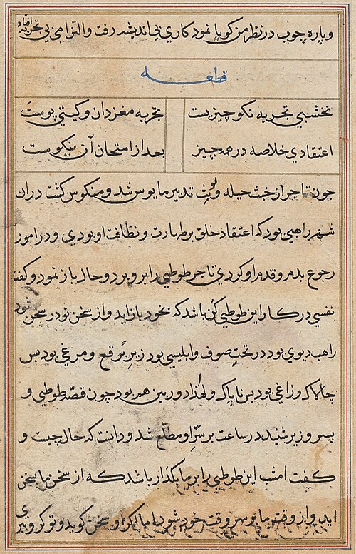 Page from Tales of a Parrot (Tuti-nama): text page, 1560, 