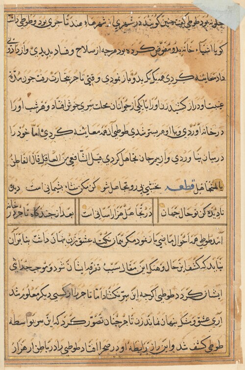 Page from Tales of a Parrot (Tuti-nama): text page, 1560, 