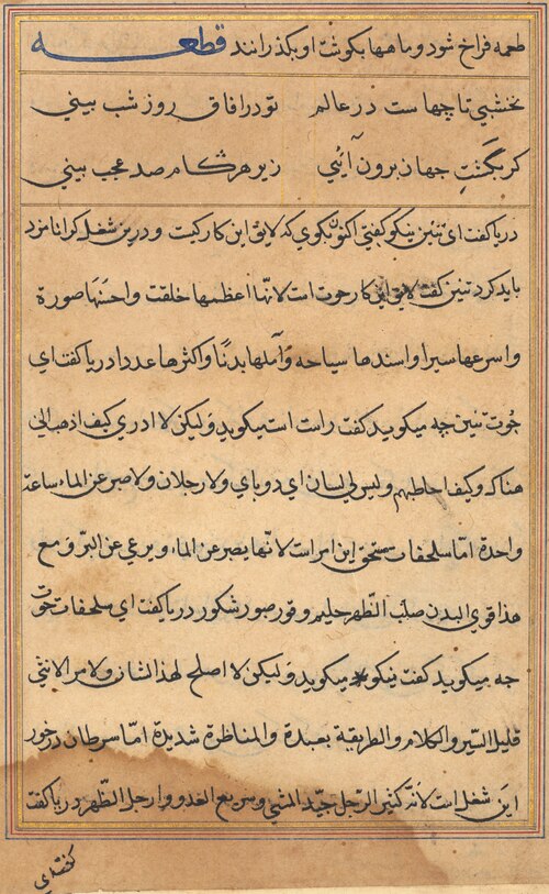 Page from Tales of a Parrot (Tuti-nama): text page, 1560, 