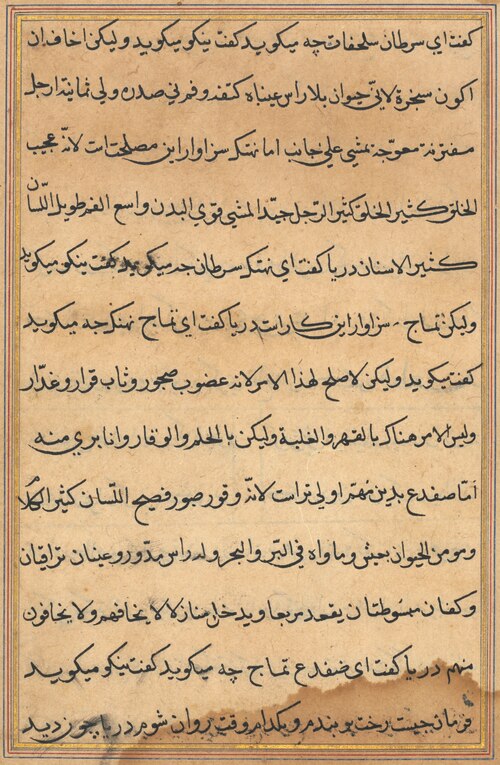 Page from Tales of a Parrot (Tuti-nama): text page, 1560, 