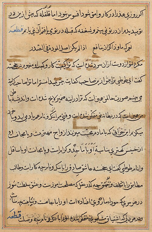 Page from Tales of a Parrot (Tuti-nama): text page, 1560, 