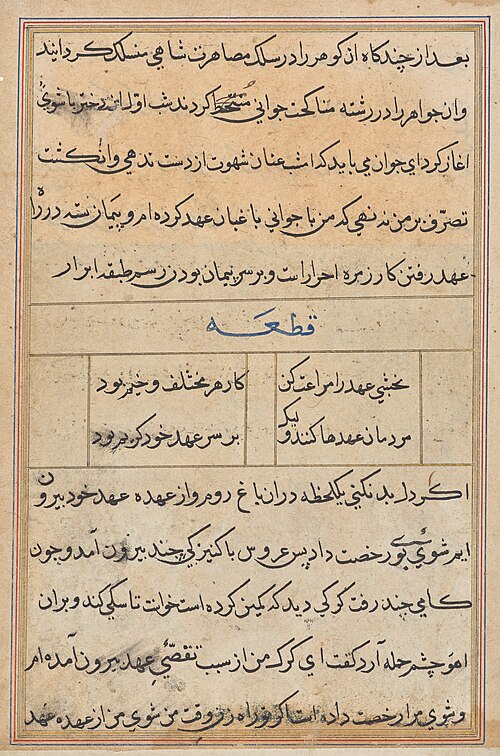 Page from Tales of a Parrot (Tuti-nama): text page, 1560, 