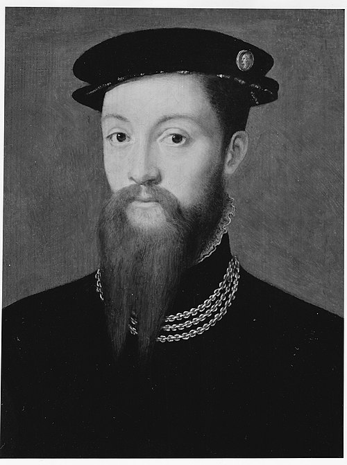 Portrait d'un homme, 1550, 