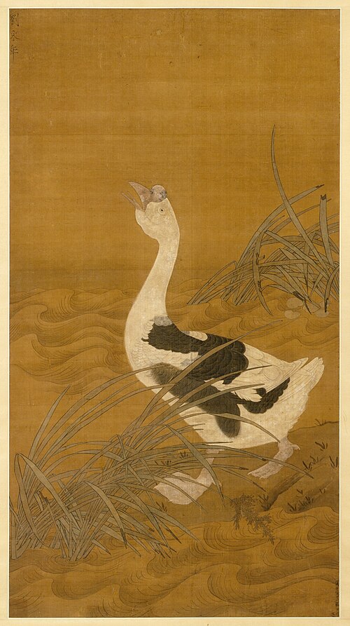 Swan Goose Among Water Reeds, , 