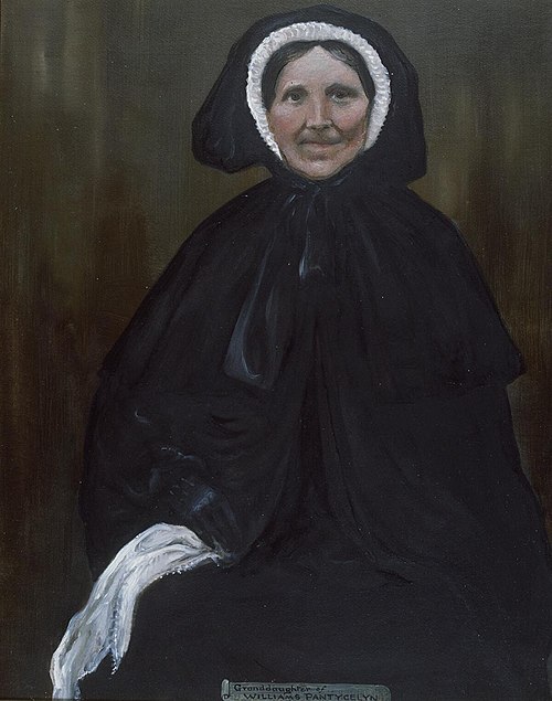 Mary Griffiths of Llandovery, 1880, 