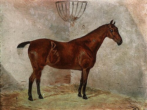 Portrait of a hunter, 1880, 