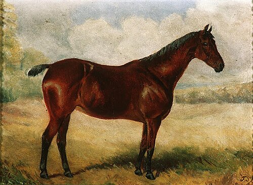 Portrait of a hunter, 1850, 
