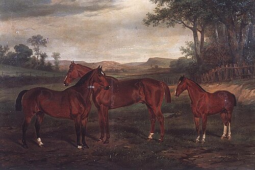Sam, Bowler and Farmer 1860, 1864, 