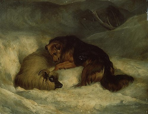 Sheepdog rescuing ram from snowdrift, 1880, 