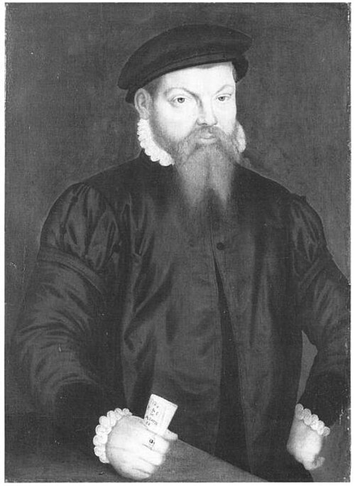 Portrait d'un homme, 1566, 