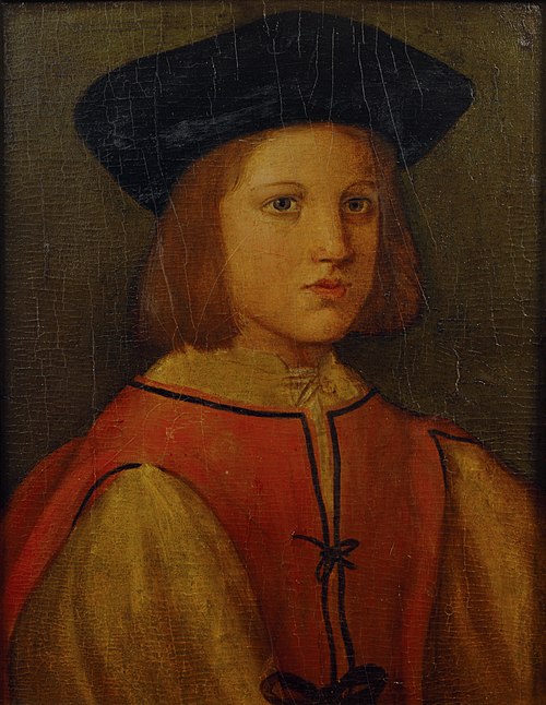 Portrait of an Adolescent Boy, 1500, 