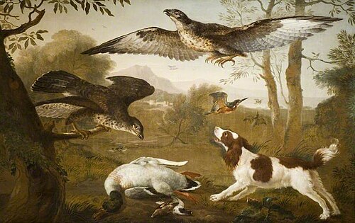 Dog Guarding A Dead Duck From Birds Of Prey, 1750, 