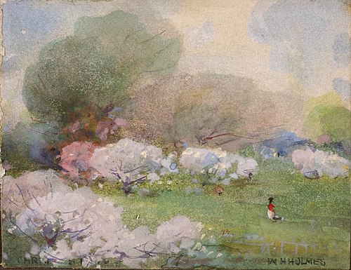 Cherry Blossoms, 1889, William Henry Holmes