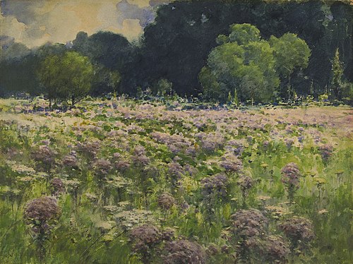 Field of Joe Pie Weeds (Pride of the Meadow), 1889, William Henry Holmes