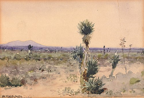 Yuccaland--Chihuahua, Mexico, 1889, William Henry Holmes