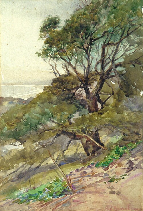 NZ Coast Scene, , Edward Noel Barraud