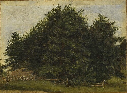 Trær, 1889, Thorvald Erichsen