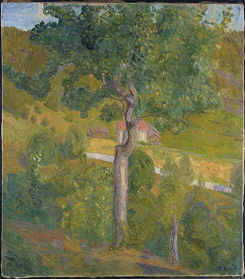 Aspen Tree at Brunkeberg in Telemark, 1906, Thorvald Erichsen