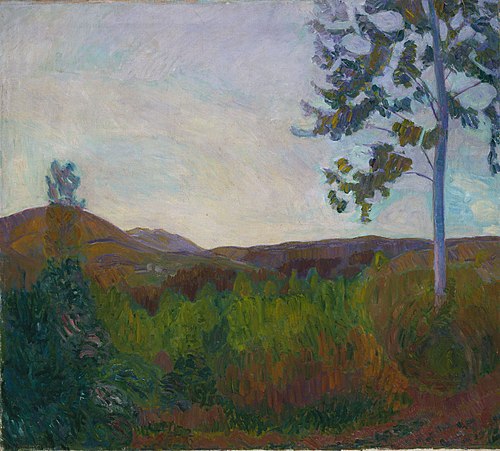 From Gausdal, 1910, Thorvald Erichsen