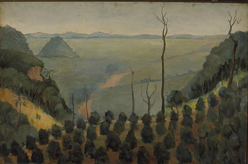 Cafezal - Campinas, 1830, , Henrique Manzo