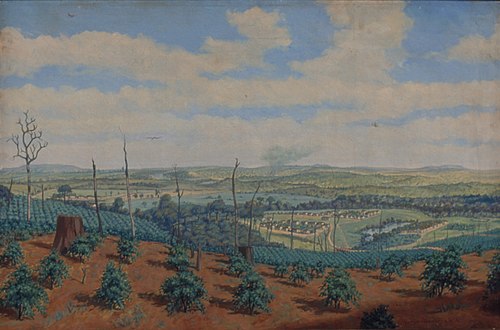 Cafezal da Fazenda Ibicaba, 1850, , Henrique Manzo