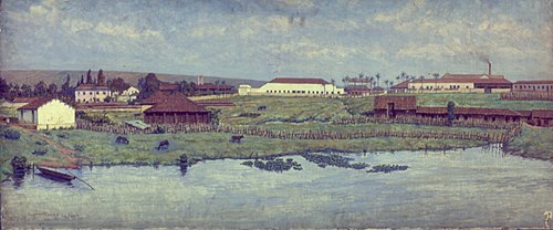 Fazenda Ibicaba, Limeira, 1876, , Henrique Manzo