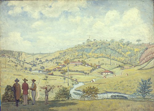Fazenda Soledade - Campinas, 1850, , Henrique Manzo