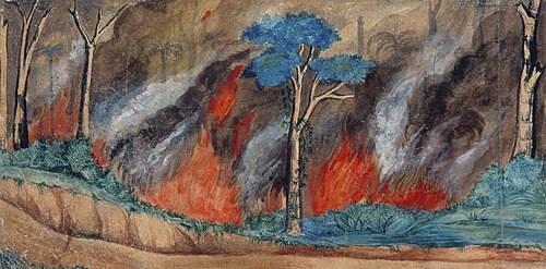 Incêndio na mata, 1847, Miguelzinho Dutra