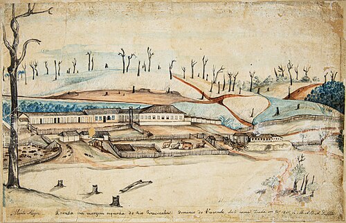 Fazenda Monte Alegre, Piracicaba, 1845, Miguelzinho Dutra