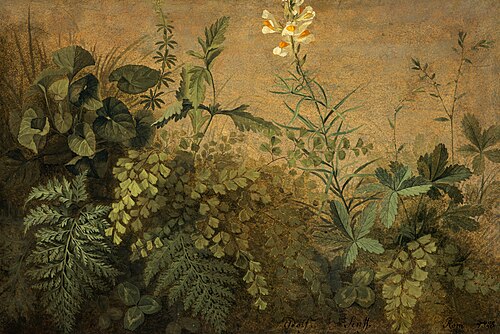 A Study of Plants, 1828, Adolph Senff