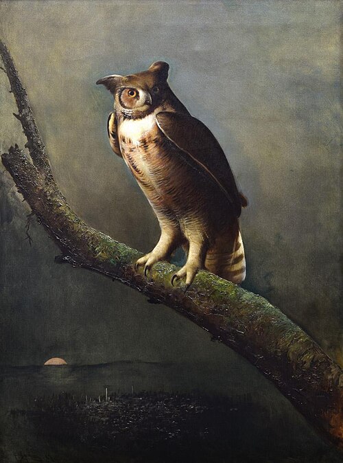 Great Horned Owl, 1887, Frederick A. Spang