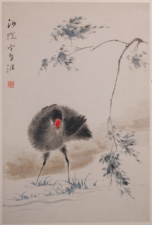 华喦花鸟册, , Hua Yan