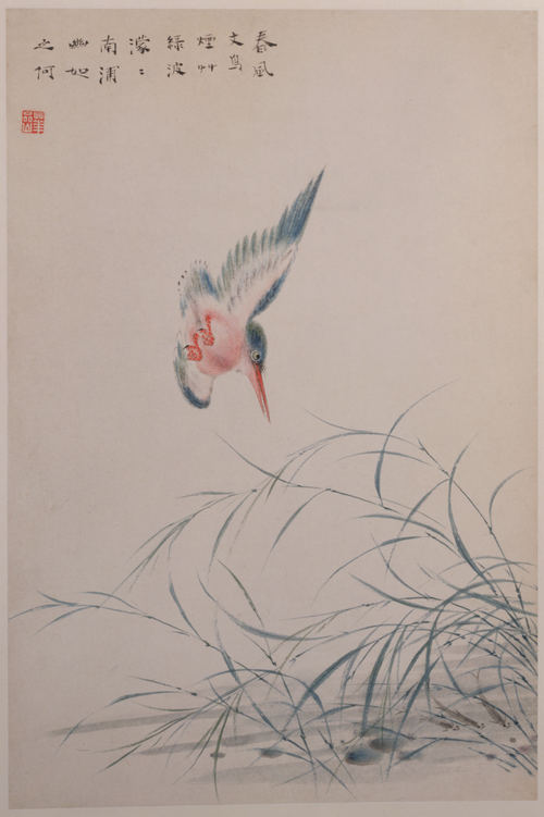 华喦花鸟册, , Hua Yan