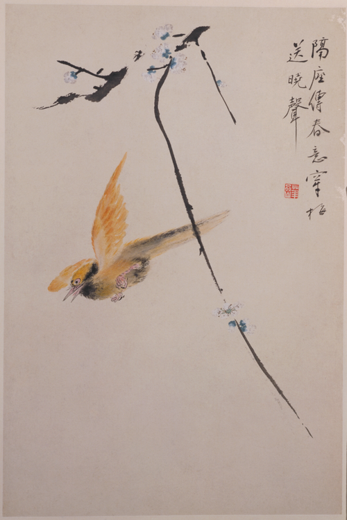 华喦花鸟册, , Hua Yan