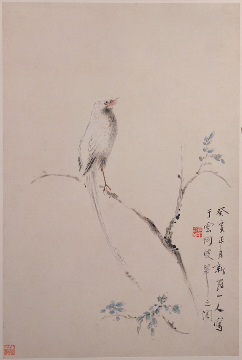 华喦花鸟册, , Hua Yan