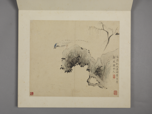 华喦花鸟册, , Hua Yan