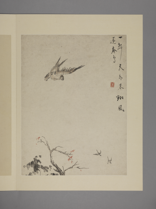 华喦花鸟图册, , Hua Yan