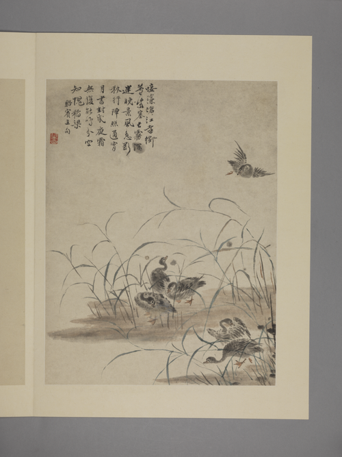 华喦花鸟图册, , Hua Yan