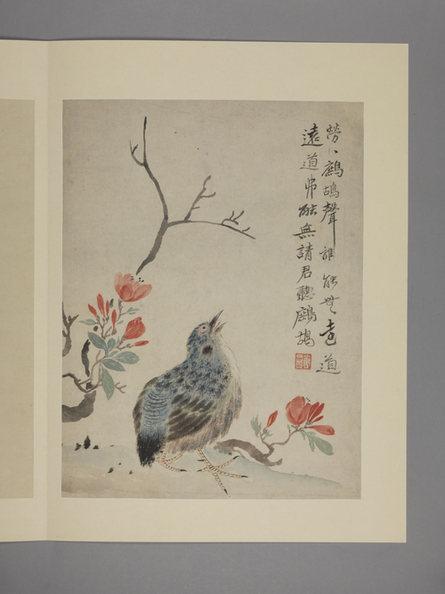 华喦花鸟图册, , Hua Yan
